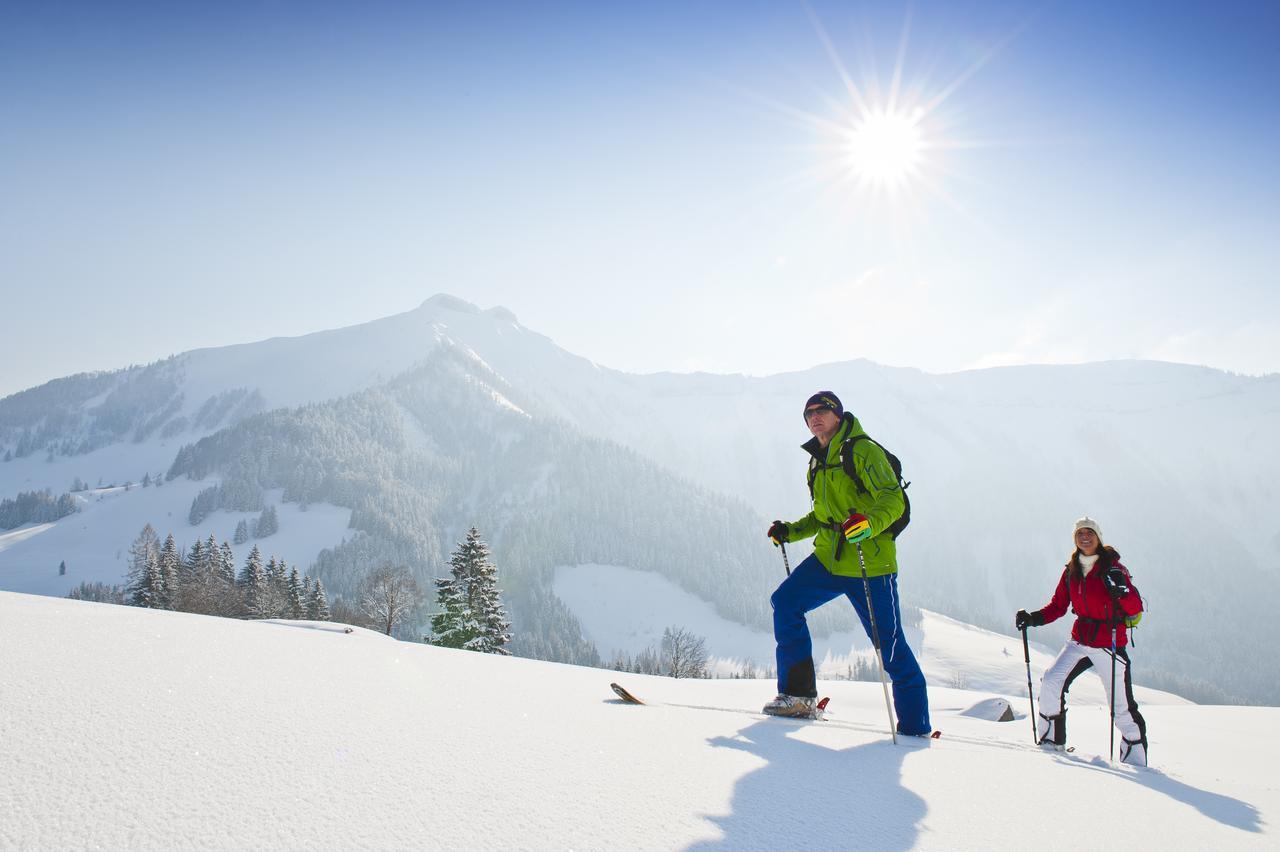 Appartements Ferienwohnungen Alpenblick ファイステナウ エクステリア 写真